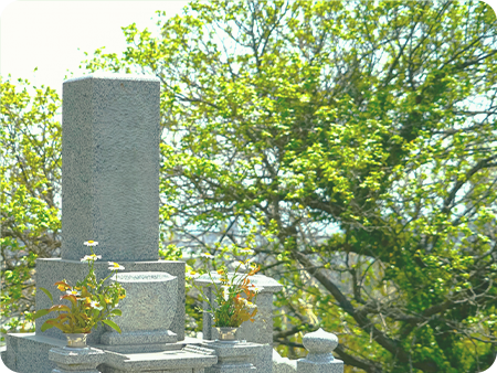 年間清掃（年5回）